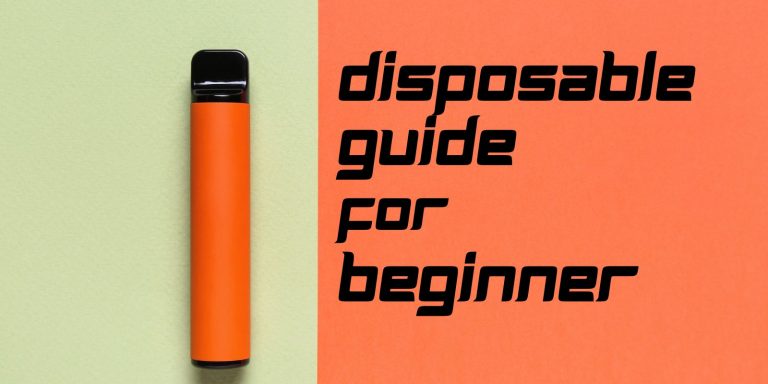 Beginner’s Guide To Disposable Vape